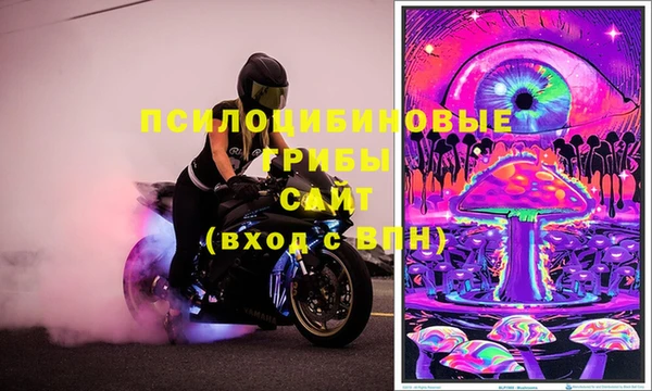 скорость Богданович