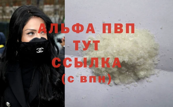 спиды Богородск