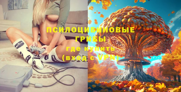 скорость Богданович