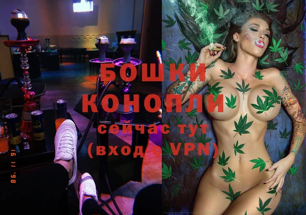 спиды Богородск