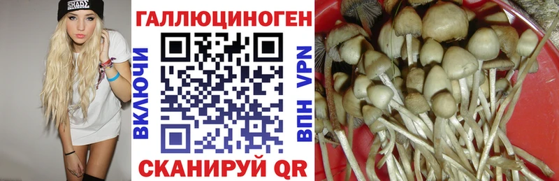 Псилоцибиновые грибы мухоморы  Купить  Канаш 